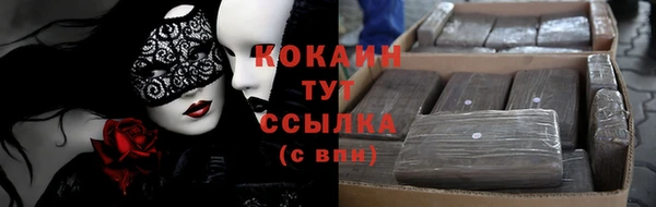 молекула духа Осинники