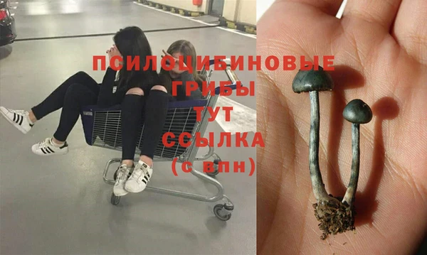 прущая мука Алзамай