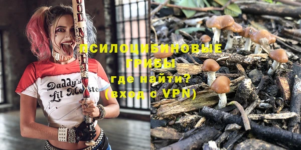 прущая мука Алзамай