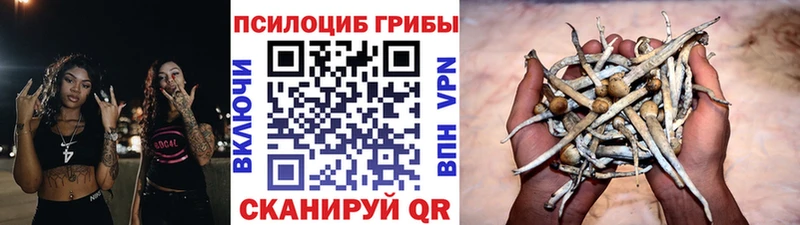 Галлюциногенные грибы MAGIC MUSHROOMS  Киреевск 